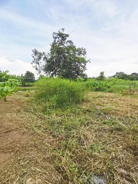 ที่ดินบ้านนา นครนายก, นครนายก, บ้านนา, บ้านนา, นครนายก, 2,798 ตร.ม., ที่ดิน ขาย, โดย The Best Property บ๊วย, 500570564 - DDproperty.com