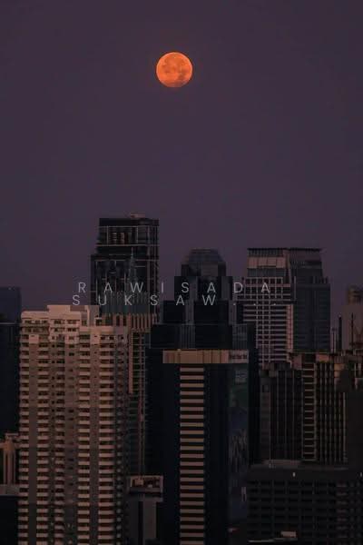 Life Asoke Hype : ไลฟ์ อโศก ไฮป์, กรุงเทพ, 339 ถนน จตุรทิศ, มักกะสัน, ราชเทวี, กรุงเทพ, 35 ตร.ม., คอนโด ให้เช่า, โดย RAWISADA SUKSAWANG, 500570649 - DDproperty.com