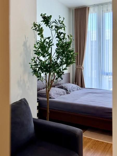Pleno Sukhumvit-Bangna 4, Samut Prakan, Bang Kaeo, Bang Plee, Samut Prakan, 4 Bedrooms, 170 sqm, Townhouse For Rent, by Chanon Phangchienghien, 500570681 - DDproperty.com