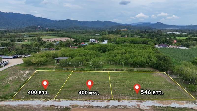 ห้วยกุ่ม ตำบลบางพระ อำเภอศรีราชา จังหวัดชลบุรี, Chon Buri (Pattaya), บ้านห้วยกุ่ม ซอย1/5, Bang Phra, Si Racha, Chon Buri (Pattaya), , 1,600 sqm, Land For Sale, by Nattipha Thanyawat, 500570741 - DDproperty.com