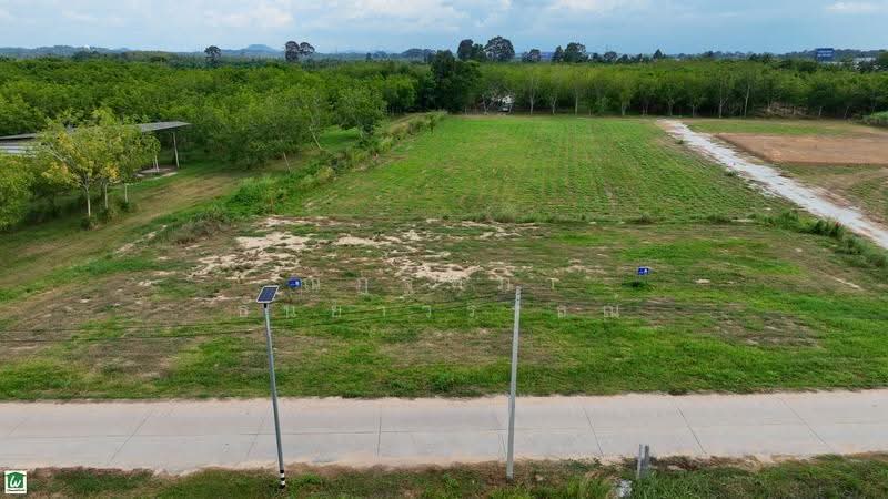 ห้วยกุ่ม ตำบลบางพระ อำเภอศรีราชา จังหวัดชลบุรี, Chon Buri (Pattaya), บ้านห้วยกุ่ม ซอย1/5, Bang Phra, Si Racha, Chon Buri (Pattaya), , 1,600 sqm, Land For Sale, by Nattipha Thanyawat, 500570741 - DDproperty.com