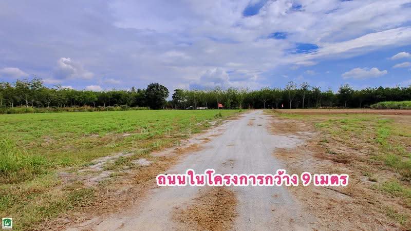 ห้วยกุ่ม ตำบลบางพระ อำเภอศรีราชา จังหวัดชลบุรี, ชลบุรี, บ้านห้วยกุ่ม ซอย1/5, บางพระ, ศรีราชา, ชลบุรี, 1,600 ตร.ม., ที่ดิน ขาย, โดย ณัฏฐ์ฑิภา ธันยาวรรธณ์, 500570741 - DDproperty.com