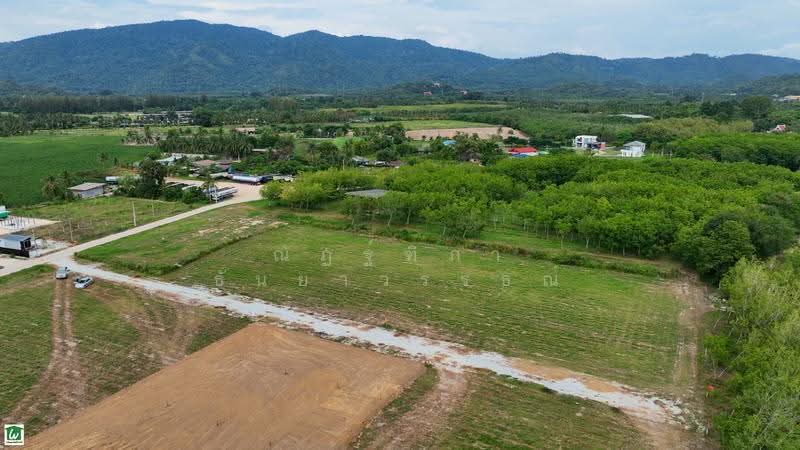 ห้วยกุ่ม ตำบลบางพระ อำเภอศรีราชา จังหวัดชลบุรี, Chon Buri (Pattaya), บ้านห้วยกุ่ม ซอย1/5, Bang Phra, Si Racha, Chon Buri (Pattaya), , 1,600 sqm, Land For Sale, by Nattipha Thanyawat, 500570741 - DDproperty.com