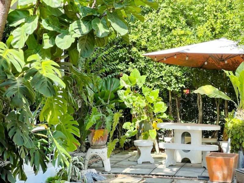 ไม่พบโครงการ, Nonthaburi, คลองถนน, Bang Mae Nang, Bang Yai, Nonthaburi, 3 Bedrooms, 140 sqm, Single Detached House For Rent, by ณัฐพงศ์ สุนทรอรุณ, 500570788 - DDproperty.com