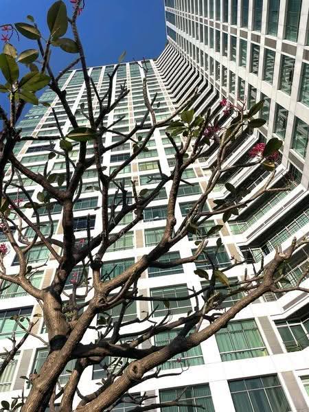 Baan Sathorn Chao Phraya : บ้านสาทรเจ้าพระยา, กรุงเทพ, 931 ซอยเจริญนคร 15 เอ, คลองต้นไทร, คลองสาน, กรุงเทพ, 75 ตร.ม., คอนโด ขาย, โดย Araya Chansane, 500570859 - DDproperty.com