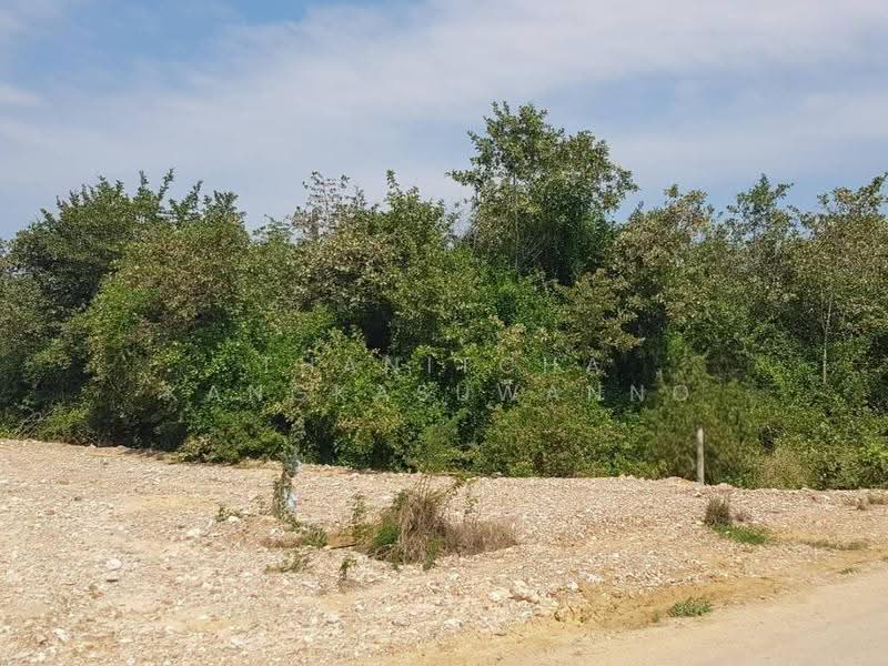 ที่ดินปราณบุรี, Prachuap Khiri Khan, Wang-Pong, Pran Buri, Prachuap Khiri Khan, , 30,460 sqm, Land For Sale, by Thanitcha Kangkasuwanno, 500570942 - DDproperty.com