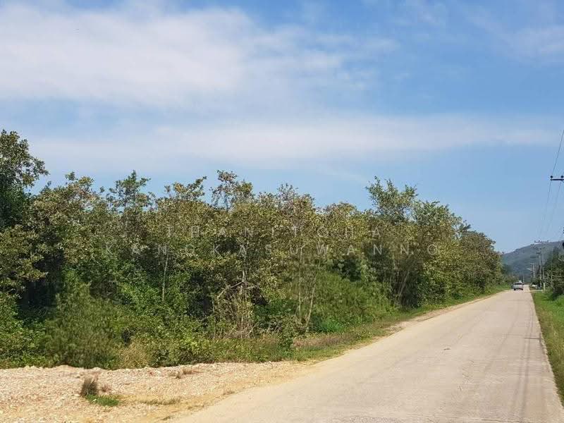 ที่ดินปราณบุรี, ประจวบคีรีขันธ์, วังก์พง, ปราณบุรี, ประจวบคีรีขันธ์, 30,460 ตร.ม., ที่ดิน ขาย, โดย Thanitcha Kangkasuwanno, 500570942 - DDproperty.com