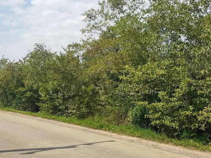 ที่ดินปราณบุรี, Prachuap Khiri Khan, Wang-Pong, Pran Buri, Prachuap Khiri Khan, , 30,460 sqm, Land For Sale, by Thanitcha Kangkasuwanno, 500570942 - DDproperty.com