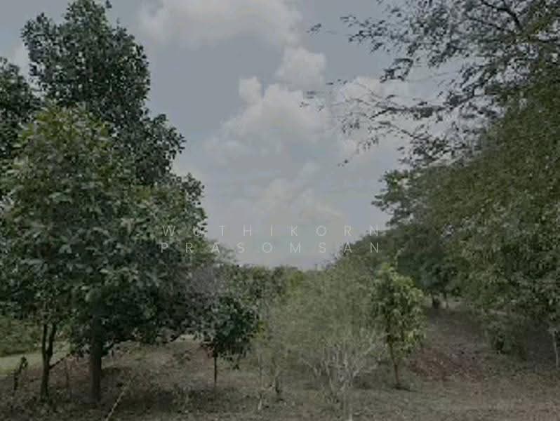 ขายที่ดินคลองม่วง ปากช่อง 31 ไร่ วิวภูเขา ติดถนนสาธารณะ, Nakhon Ratchasima, Khlong Muang, Pak Chong, Nakhon Ratchasima, , 49,808 sqm, Land For Sale, by Wuthikorn Prasomsan, 500570953 - DDproperty.com