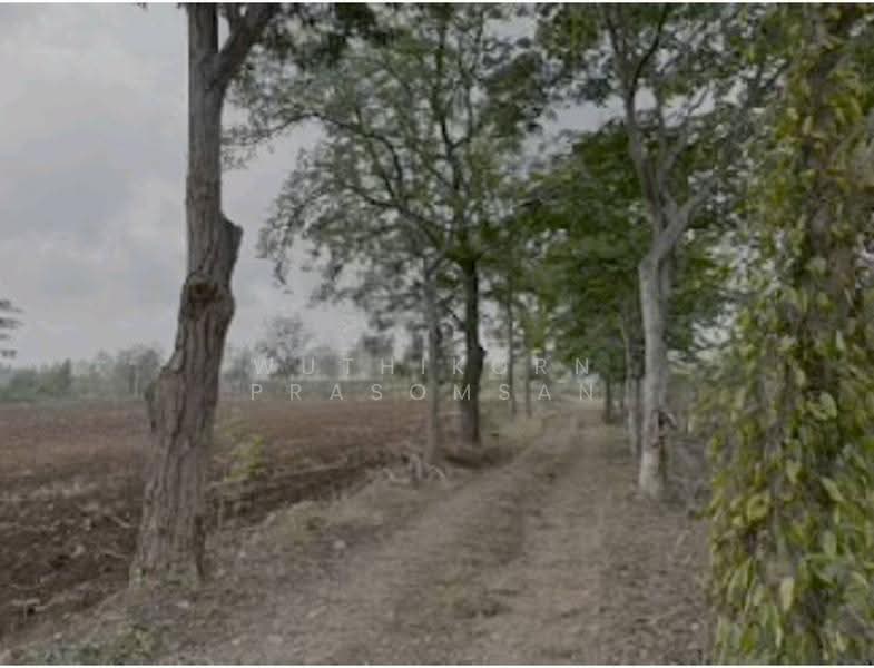 ขายที่ดินคลองม่วง ปากช่อง 31 ไร่ วิวภูเขา ติดถนนสาธารณะ, Nakhon Ratchasima, Khlong Muang, Pak Chong, Nakhon Ratchasima, , 49,808 sqm, Land For Sale, by Wuthikorn Prasomsan, 500570953 - DDproperty.com