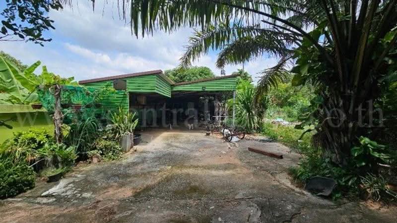 โพธิ์กลาง นครราชสีมา, Nakhon Ratchasima, ศรีโพธิ์กลาง, Pho Klang, Muang Nakhon Ratchasima, Nakhon Ratchasima, 6 Bedrooms, 300 sqm, Single Detached House For Sale, by คุณ เทอดภูมิ (ท็อป), 500571042 - DDproperty.com