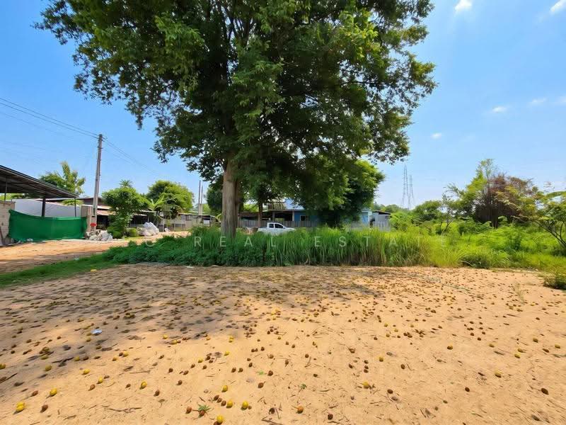 EastLand for Sale Nong Pla Lai East Pattaya, Chon Buri (Pattaya), Bang Lamung, Bang Lamung (Pattaya), Chon Buri (Pattaya), , 200 sqm, Land For Sale, by PLC REAL ESTATE, 500571124 - DDproperty.com