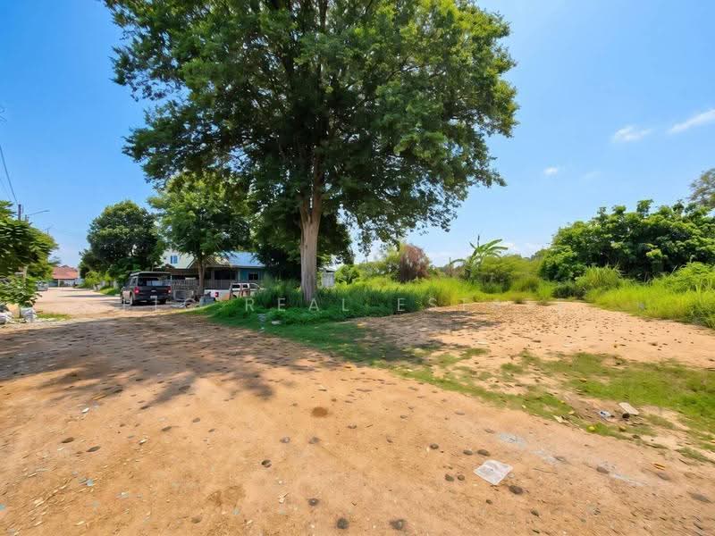 EastLand for Sale Nong Pla Lai East Pattaya, Chon Buri (Pattaya), Bang Lamung, Bang Lamung (Pattaya), Chon Buri (Pattaya), , 200 sqm, Land For Sale, by PLC REAL ESTATE, 500571124 - DDproperty.com