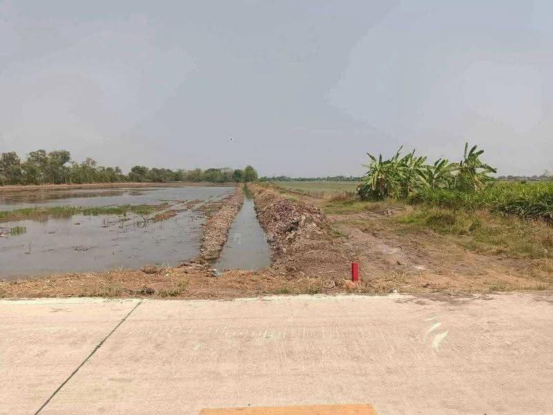 land for sell, Pathum Thani, Khlong Si, Khlong Luang, Pathum Thani, , 25,600 sqm, Land For Sale, by คุณลี, 500571145 - DDproperty.com