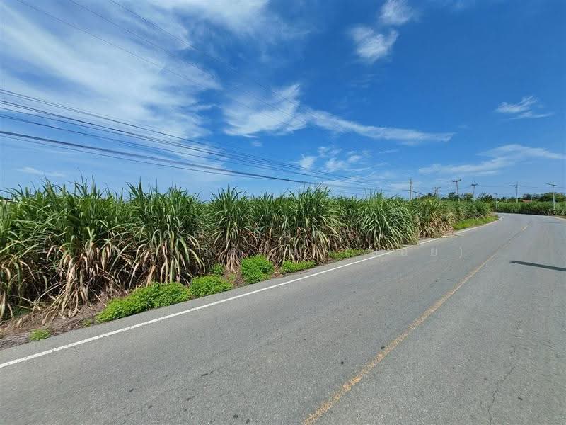 ที่ดินเปล่า 14 ไร่ 211.5 ตร.ว. ที่ดินเปล่า ใกล้อบต.ทุ่งขวาง กำแพงแสน นครปฐม, นครปฐม, ถนนมาลัยแมน, ทุ่งขวาง, กำแพงแสน, นครปฐม, 23,246 ตร.ม., ที่ดิน ขาย, โดย คุณ กันตภณ จักกาวิรักษ์ (บอย), 500571189 - DDproperty.com