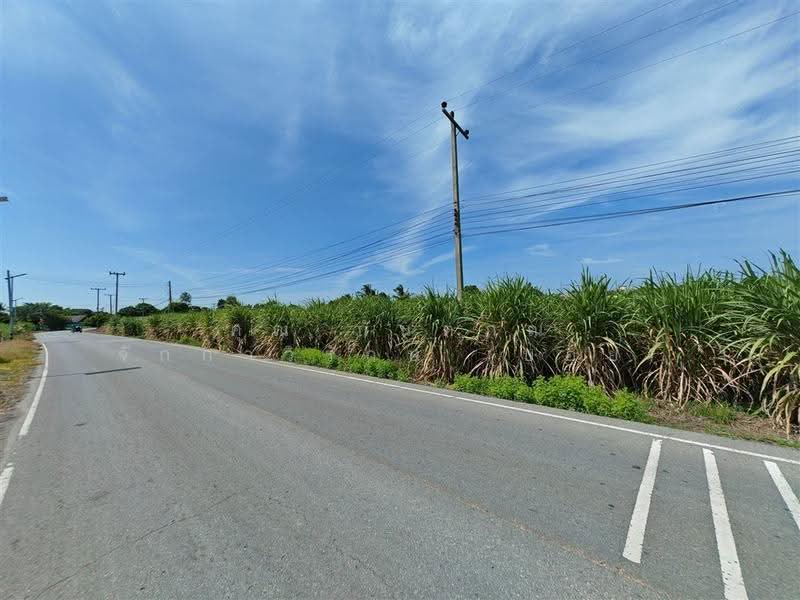 ที่ดินเปล่า 14 ไร่ 211.5 ตร.ว. ที่ดินเปล่า ใกล้อบต.ทุ่งขวาง กำแพงแสน นครปฐม, นครปฐม, ถนนมาลัยแมน, ทุ่งขวาง, กำแพงแสน, นครปฐม, 23,246 ตร.ม., ที่ดิน ขาย, โดย คุณ กันตภณ จักกาวิรักษ์ (บอย), 500571189 - DDproperty.com