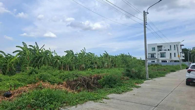 ขายที่ดินเปล่า 397 ตรว, กรุงเทพ, ทวีวัฒนา, กรุงเทพ, 1,588 ตร.ม., ที่ดิน ขาย, โดย คุณลี, 500571214 - DDproperty.com