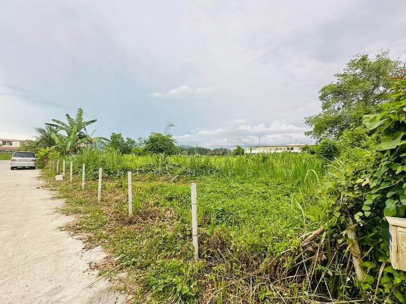 sale: Land adjacent to Koh Mee Nok Market, near Lopburi Ramesuan Road. Size: 3 Rai, 1 Ngan, 78 Sq, Songkhla, Khlong Hae, Hat Yai, Songkhla, , 5,512 sqm, Land For Sale, by Rachen Nopsuwan, 500571230 - DDproperty.com