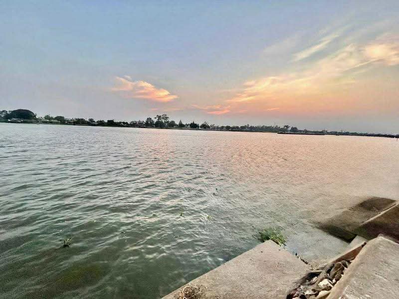 land for sell, Pathum Thani, Ban Ngiu, Sam Khok, Pathum Thani, , 2,328 sqm, Land For Sale, by คุณลี, 500571241 - DDproperty.com