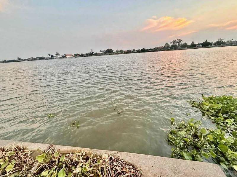 land for sell, Pathum Thani, Ban Ngiu, Sam Khok, Pathum Thani, , 2,328 sqm, Land For Sale, by คุณลี, 500571241 - DDproperty.com