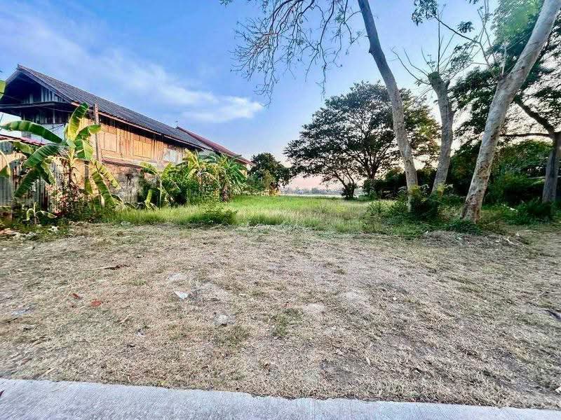 land for sell, Pathum Thani, Ban Ngiu, Sam Khok, Pathum Thani, , 2,328 sqm, Land For Sale, by คุณลี, 500571241 - DDproperty.com