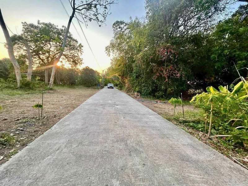 land for sell, Pathum Thani, Ban Ngiu, Sam Khok, Pathum Thani, , 2,328 sqm, Land For Sale, by คุณลี, 500571241 - DDproperty.com