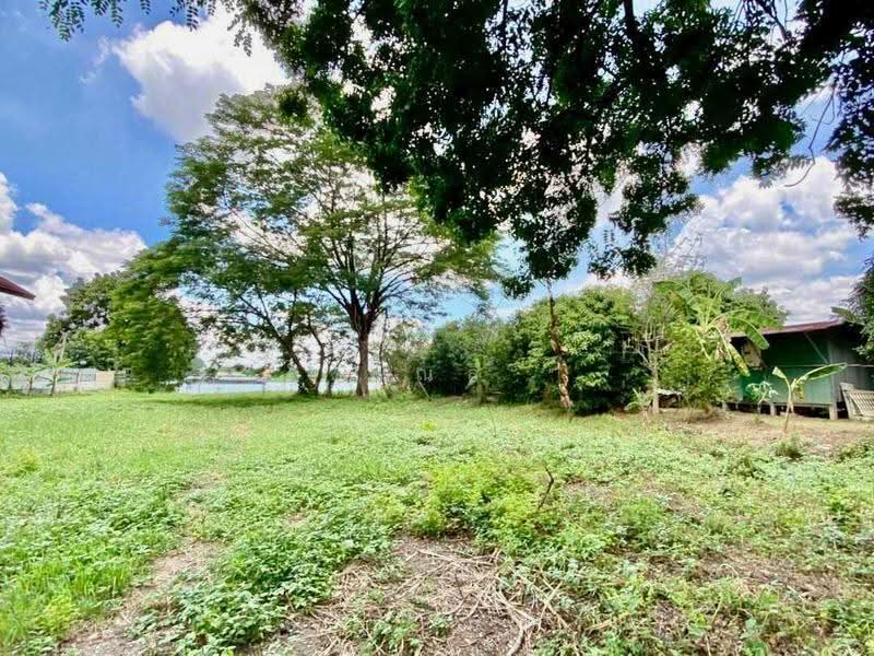 land for sell, Pathum Thani, Ban Ngiu, Sam Khok, Pathum Thani, , 2,328 sqm, Land For Sale, by คุณลี, 500571241 - DDproperty.com