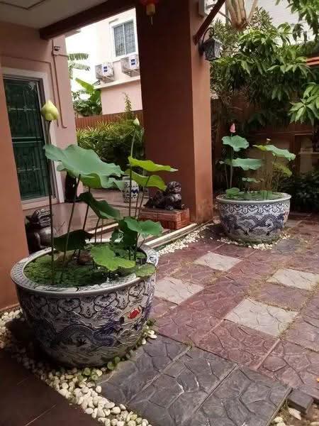 house for sell, Samut Prakan, Phraeksa, Muang Samut Prakarn, Samut Prakan, 3 Bedrooms, 148 sqm, Semi-Detached House (Twin House) For Sale, by คุณฝน, 500571362 - DDproperty.com