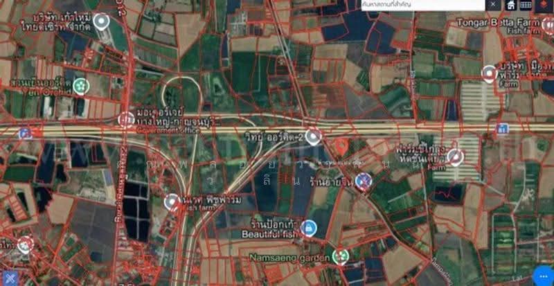 บางใหญ่-กาญจนบุรี M81, นครปฐม, M81, แหลมบัว, นครชัยศรี, นครปฐม, 4,504 ตร.ม., ที่ดิน ขาย, โดย คุณพลอยวาลินน์ (วาลินน์), 500571449 - DDproperty.com