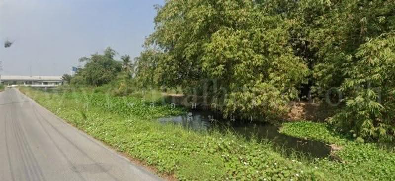 บางใหญ่-กาญจนบุรี M81, Nakhon Pathom, M81, Laem Bua, Nakhon Chai Sri, Nakhon Pathom, , 4,504 sqm, Land For Sale, by คุณพลอยวาลินน์ (วาลินน์), 500571449 - DDproperty.com