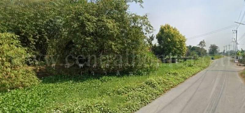 บางใหญ่-กาญจนบุรี M81, Nakhon Pathom, M81, Laem Bua, Nakhon Chai Sri, Nakhon Pathom, , 4,504 sqm, Land For Sale, by คุณพลอยวาลินน์ (วาลินน์), 500571449 - DDproperty.com