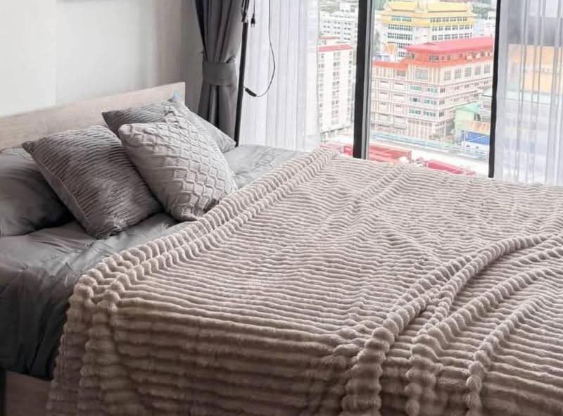 Modiz Sukhumvit 50, Bangkok, Soi Sukhumvit 50, Phra Kanong, Khlong Toei, Bangkok, 1 Bedroom, 28 sqm, Condo For Rent, by Kornkanok Sonvichai, 500571557 - DDproperty.com