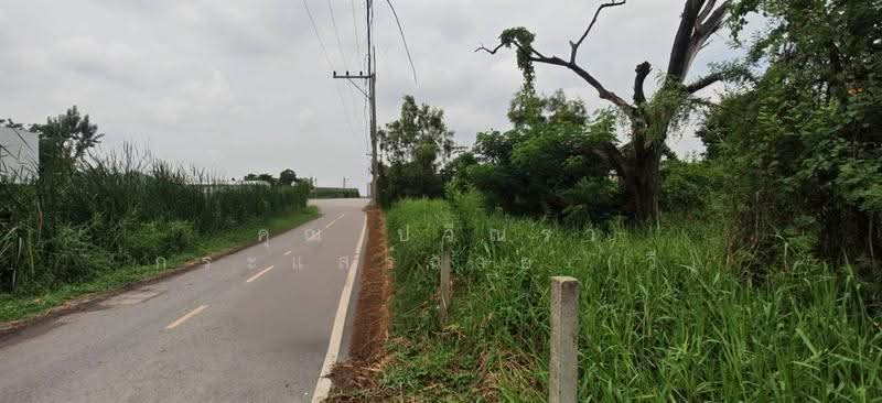 ที่ดินเปล่า 100 ตร.ว. ที่ดิน ซอยร่วมสุข4/5 ถนนติวานนท์, Pathum Thani, ถนนติวานนท์, Ban Mai, Muang Pathum Thani, Pathum Thani, , 400 sqm, Land For Sale, by คุณ ปวีณรา กระแสร์ฉาย (วี), 500571698 - DDproperty.com