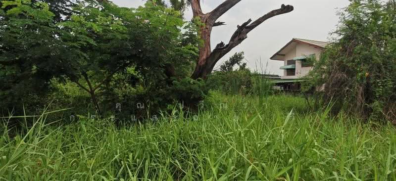 ที่ดินเปล่า 100 ตร.ว. ที่ดิน ซอยร่วมสุข4/5 ถนนติวานนท์, ปทุมธานี, ถนนติวานนท์, บ้านใหม่, เมืองปทุมธานี, ปทุมธานี, 400 ตร.ม., ที่ดิน ขาย, โดย คุณ ปวีณรา กระแสร์ฉาย (วี), 500571698 - DDproperty.com