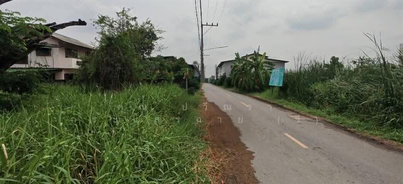 ที่ดินเปล่า 100 ตร.ว. ที่ดิน ซอยร่วมสุข4/5 ถนนติวานนท์, ปทุมธานี, ถนนติวานนท์, บ้านใหม่, เมืองปทุมธานี, ปทุมธานี, 400 ตร.ม., ที่ดิน ขาย, โดย คุณ ปวีณรา กระแสร์ฉาย (วี), 500571698 - DDproperty.com