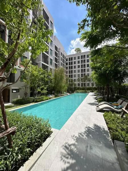 Good Day Sukhumvit 93, Bangkok, Bang Chak, Phra Khanong, Bangkok, 1 Bedroom, 27 sqm, Condo For Rent, by กฤตวรรณ ทะลอมคำ, 500571721 - DDproperty.com