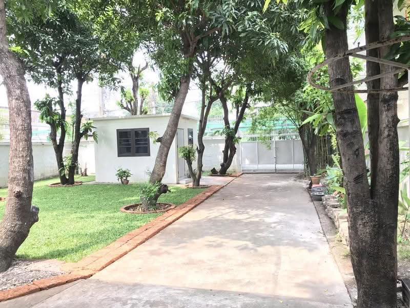 อาคารให้เช่า อ่อนนุช บางจาก พระโขนง : Building for rent in On Nut, Bang Chak, Phra Khanong, กรุงเทพ, บางจาก, พระโขนง, กรุงเทพ, 300 ตร.ม., ตึกแถว-อาคารพาณิชย์ ให้เช่า, โดย TOAH T., 500571784 - DDproperty.com