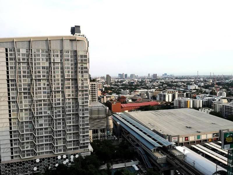 Q House Sukhumvit 79, Bangkok, 2059 Sukhumvit Road, Phra Kanong Nua, Watthana, Bangkok, 1 Bedroom, 31 sqm, Condo For Rent, by Marcella Contini, 500571817 - DDproperty.com