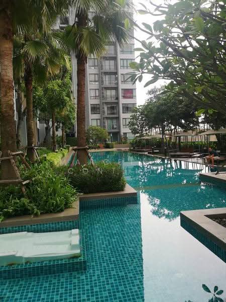 Q House Sukhumvit 79, Bangkok, 2059 Sukhumvit Road, Phra Kanong Nua, Watthana, Bangkok, 1 Bedroom, 31 sqm, Condo For Rent, by Marcella Contini, 500571817 - DDproperty.com