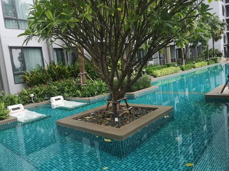 Q House Sukhumvit 79, Bangkok, 2059 Sukhumvit Road, Phra Kanong Nua, Watthana, Bangkok, 1 Bedroom, 31 sqm, Condo For Rent, by Marcella Contini, 500571817 - DDproperty.com