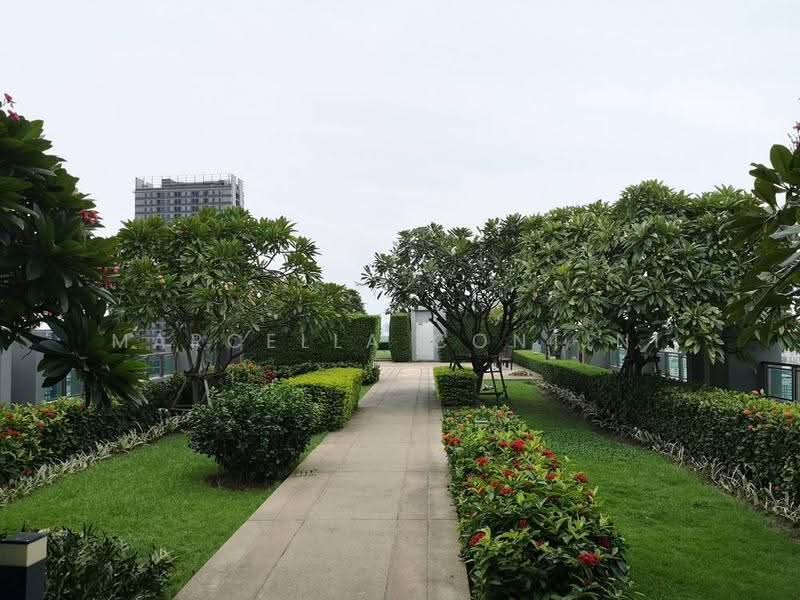 Q House Sukhumvit 79 : คิวเฮาส์ สุขุมวิท 79, กรุงเทพ, 2059 ถนนสุขุมวิท, พระโขนงเหนือ, วัฒนา, กรุงเทพ, 31 ตร.ม., คอนโด ให้เช่า, โดย Marcella Contini, 500571817 - DDproperty.com