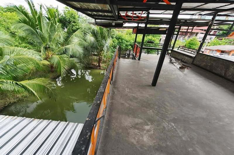 ซอยรังสิต–นครนายก 26, Pathum Thani, ถนนรังสิต–นครนายก, Prachathipat, Thanyaburi, Pathum Thani, 2 Bedrooms, 160 sqm, Single Detached House For Sale, by คุณนุ่น, 500571906 - DDproperty.com
