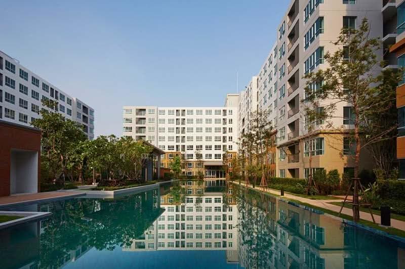 Dcondo Nim : ดีคอนโด นิม, เชียงใหม่, 239 ถนนซุปเปอร์ไฮเวย์ เชียงใหม่-ลำปาง, ฟ้าฮ่าม, เมืองเชียงใหม่, เชียงใหม่, 30 ตร.ม., คอนโด ให้เช่า, โดย คุณ ธีรชาติ, 500571975 - DDproperty.com