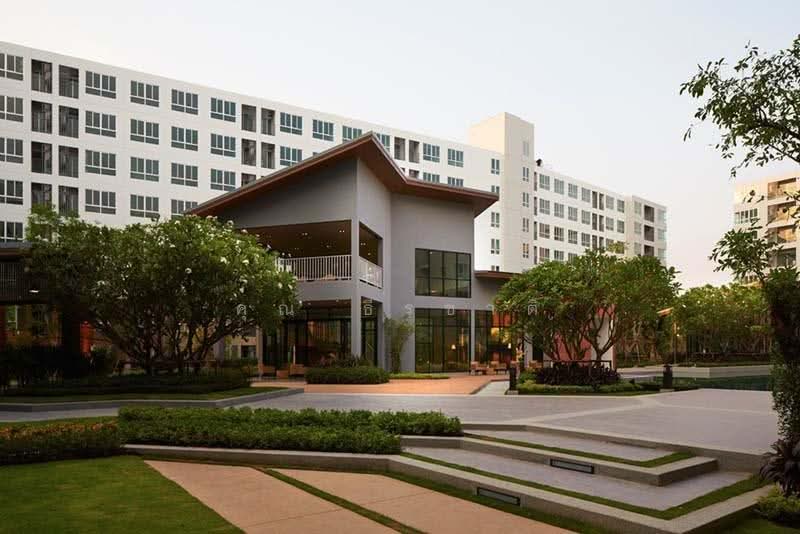 Dcondo Nim, Chiang Mai, 239 Hwy Chiang Mai-Lampang Frontage Road, Fa Ham, Muang Chiang Mai, Chiang Mai, 1 Bedroom, 30 sqm, Condo For Rent, by คุณ ธีรชาติ, 500571975 - DDproperty.com