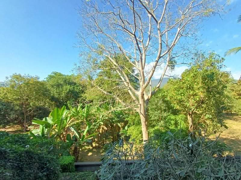 Mountain Front Condominium : เมาท์เท่นฟรอนท์ คอนโดมิเนียม, เชียงใหม่, ช้างเผือก, เมืองเชียงใหม่, เชียงใหม่, 60 ตร.ม., คอนโด ให้เช่า, โดย คุณ ธีรชาติ, 500571985 - DDproperty.com