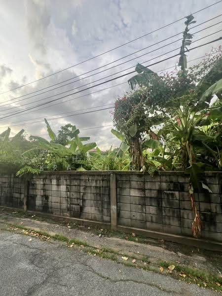 ขายที่ดินเปล่า ซอยอินทรามระ41, Bangkok, Din Daeng, Bangkok, , 804 sqm, Land For Sale, by Thananit Kraikhiriwat, 500571986 - DDproperty.com
