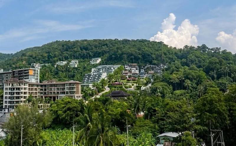 6th Avenue Surin : 6 อเวนิว สุรินทร์, ภูเก็ต, เชิงทะเล, ถลาง, ภูเก็ต, 35 ตร.ม., คอนโด ขาย, โดย Fazwaz (Thailand) Co., Ltd., 500571991 - DDproperty.com