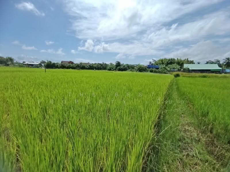 ที่ดินไชยสถาน น่าน, nan, Chaiya Sathan, Muang Nan, Nan, , 1,200 sqm, Land For Sale, by The Best Property เปี๊ยก, 500571996 - DDproperty.com