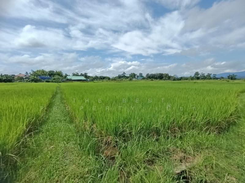ที่ดินไชยสถาน น่าน, น่าน, ไชยสถาน, เมืองน่าน, น่าน, 1,200 ตร.ม., ที่ดิน ขาย, โดย The Best Property เปี๊ยก, 500571996 - DDproperty.com