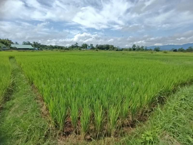 ที่ดินไชยสถาน น่าน, น่าน, ไชยสถาน, เมืองน่าน, น่าน, 1,200 ตร.ม., ที่ดิน ขาย, โดย The Best Property เปี๊ยก, 500571996 - DDproperty.com